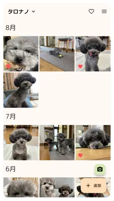 アルバム機能