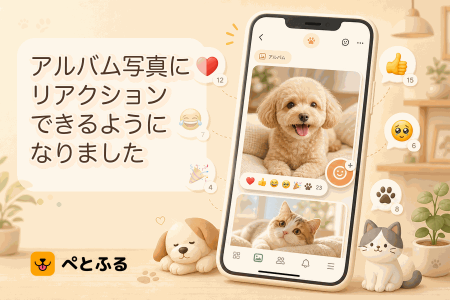アルバム写真にリアクションできるようになりました🐾