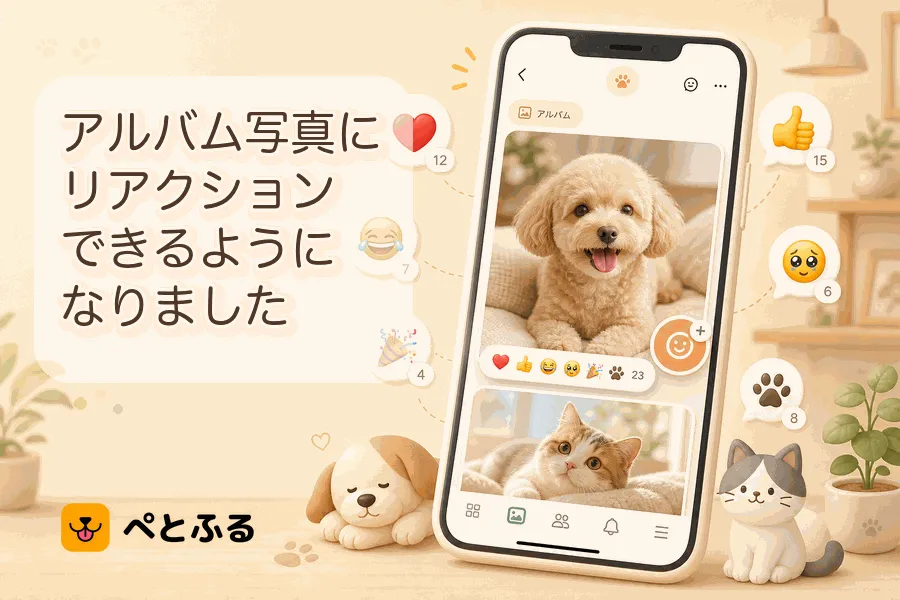 アルバム写真にリアクションできるようになりました🐾
