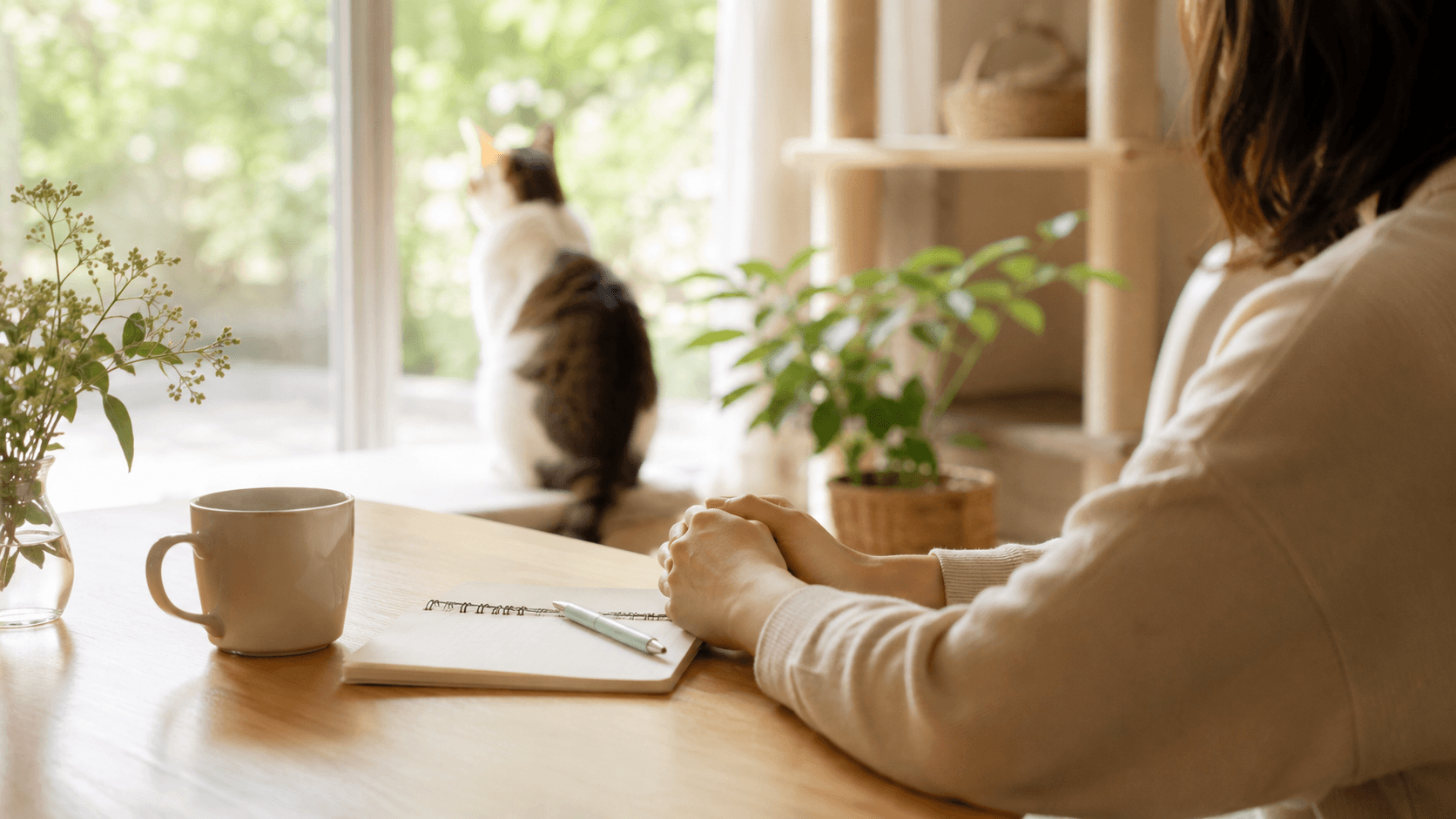 ペットを飼わなくても動物と関われる？支援・学び・距離感の選択肢