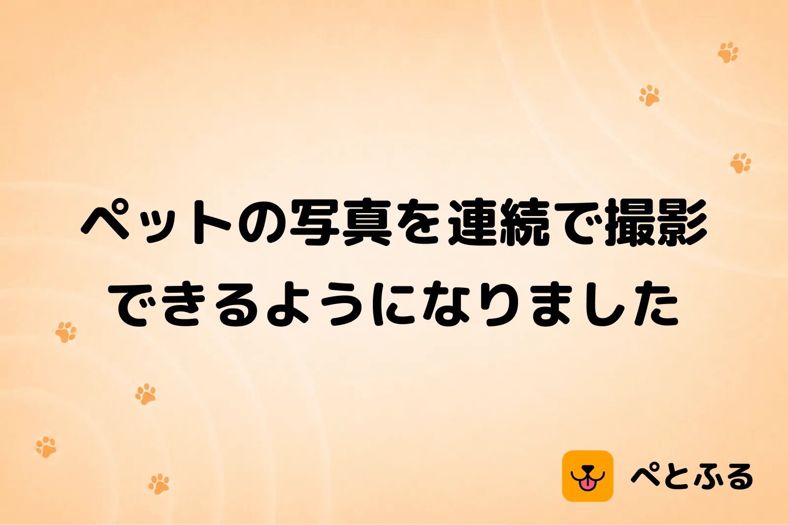 ペットの写真を連続で撮影できるようになりました📸