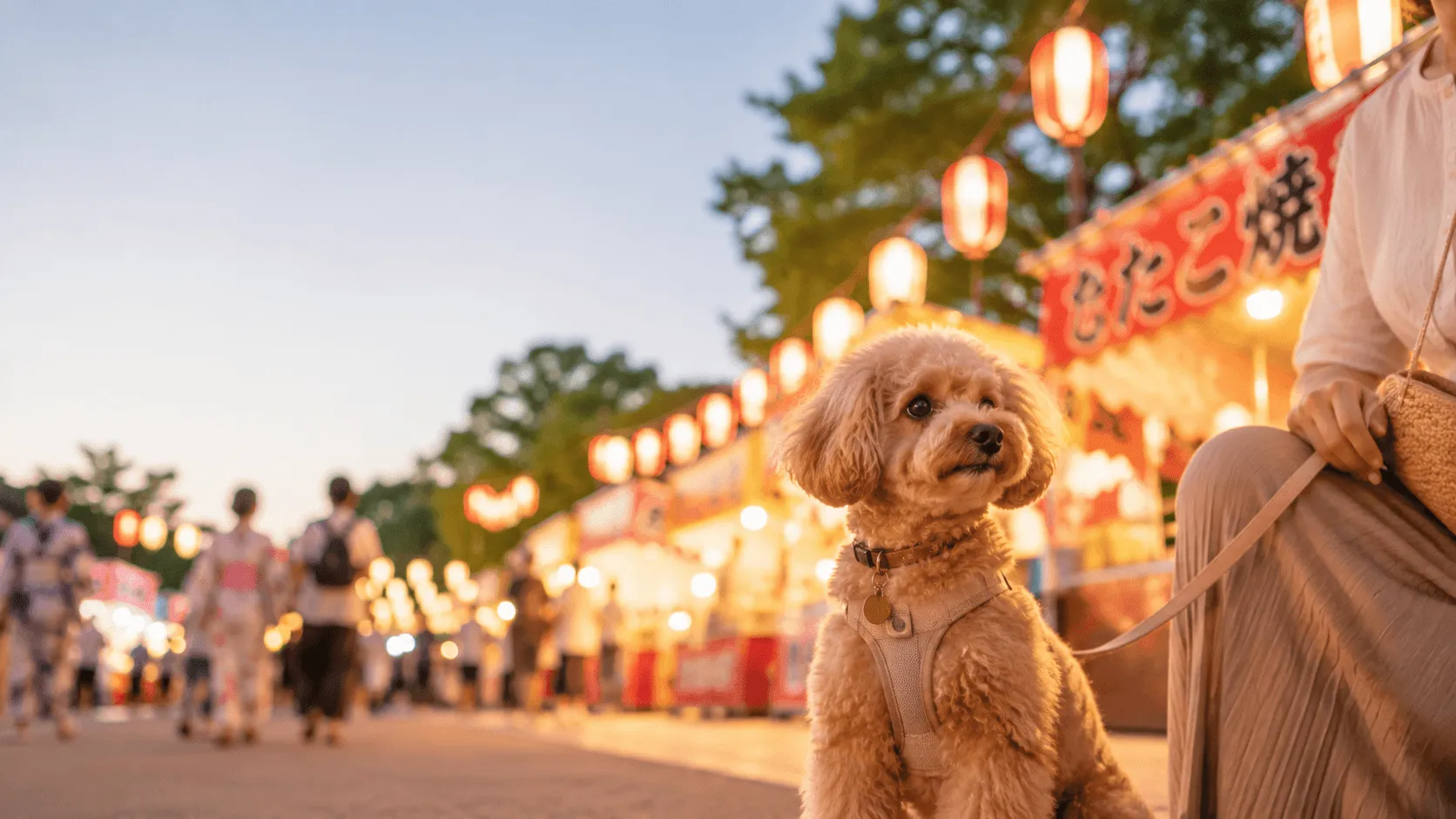 夏祭りに犬を連れて行ってもいい？暑さ・人混み・音の負担を考える